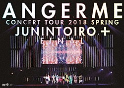 ＡＮＧＥＲＭＥ「アンジュルム　コンサートツアー２０１８春十人十色＋ファイナル」