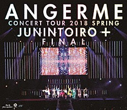 ＡＮＧＥＲＭＥ「アンジュルム　コンサートツアー２０１８春十人十色＋ファイナル」