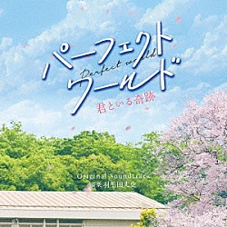 羽毛田丈史「パーフェクトワールド　君といる奇跡　Ｏｒｉｇｉｎａｌ　Ｓｏｕｎｄｔｒａｃｋ」