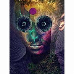 ＤＩＲ　ＥＮ　ＧＲＥＹ「ＴＨＥ　ＩＮＳＵＬＡＴＥＤ　ＷＯＲＬＤ」