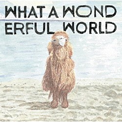 ＹＡＳＵＹＵＫＩ　ＨＯＲＩＧＯＭＥ「Ｗｈａｔ　Ａ　Ｗｏｎｄｅｒｆｕｌ　Ｗｏｒｌｄ」