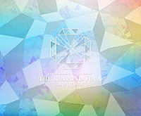 ももいろクローバーＺ「 ももいろクローバーＺ　１０ｔｈ　Ａｎｎｉｖｅｒｓａｒｙ　Ｔｈｅ　Ｄｉａｍｏｎｄ　Ｆｏｕｒ　－ｉｎ　桃響導夢－　ＬＩＶＥ　Ｂｌｕ－ｒａｙ」