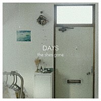 ｔｈｅ　ｓｈｅｓ　ｇｏｎｅ「 ＤＡＹＳ」