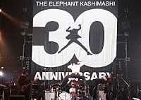 エレファントカシマシ「 ３０ｔｈ　ＡＮＮＩＶＥＲＳＡＲＹ　ＴＯＵＲ　“ＴＨＥ　ＦＩＧＨＴＩＮＧ　ＭＡＮ”　ＦＩＮＡＬ　ＳＡＩＴＡＭＡ　ＳＵＰＥＲ　ＡＲＥＮＡ」