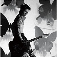 ＭＩＹＡＶＩ「 ＳＡＭＵＲＡＩ　ＳＥＳＳＩＯＮＳ　ｖｏｌ．３　－　Ｗｏｒｌｄｓ　Ｃｏｌｌｉｄｅ　－」