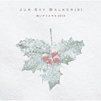 ＪＵＮ　ＳＫＹ　ＷＡＬＫＥＲ（Ｓ）「 白いクリスマス　２０１８」