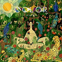 ｍａｊｉｋｏ「 ＣＯＬＯＲ（限定盤）」