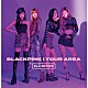 ＢＬＡＣＫＰＩＮＫ「ＢＬＡＣＫＰＩＮＫ　ＩＮ　ＹＯＵＲ　ＡＲＥＡ」