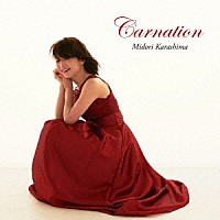 辛島美登里「 Ｃａｒｎａｔｉｏｎ」