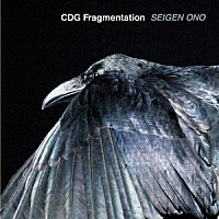 ＳＥＩＧＥＮ　ＯＮＯ「 ＣＤＧ　Ｆｒａｇｍｅｎｔａｔｉｏｎ」