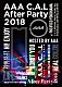 ＡＡＡ「ＡＡＡ　Ｃ．Ａ．Ｌ　Ａｆｔｅｒ　Ｐａｒｔｙ　２０１８」