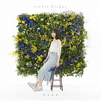 足立佳奈「 ｌｉｔｔｌｅ　ｆｌｏｗｅｒ」