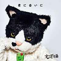 むぎ（猫）「 君に会いに」