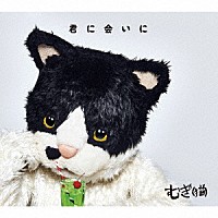 むぎ（猫）「 君に会いに」