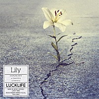 ラックライフ「 Ｌｉｌｙ」