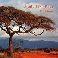 ジョン・パティトゥッチ「 Ｓｏｕｌ　ｏｆ　ｔｈｅ　Ｂａｓｓ」