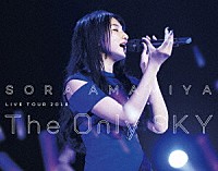 雨宮天「 雨宮天　ＬＩＶＥ　ＴＯＵＲ　２０１８　Ｔｈｅ　Ｏｎｌｙ　ＳＫＹ」