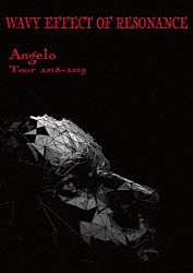 Ａｎｇｅｌｏ「Ａｎｇｅｌｏ　Ｔｏｕｒ　２０１８－２０１９　ＷＡＶＹ　ＥＦＦＥＣＴ　ＯＦ　ＲＥＳＯＮＡＮＣＥ」