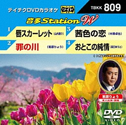 （カラオケ） 山内惠介 若原りょう 中澤卓也 辰巳ゆうと「音多Ｓｔａｔｉｏｎ　Ｗ」