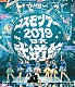 でんぱ組．ｉｎｃ「コスモツアー　２０１９　ｉｎ　日本武道館」