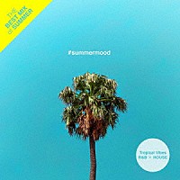 （Ｖ．Ａ．）「 ＃ｓｕｍｍｅｒｍｏｏｄ　－　Ｔｈｅ　Ｂｅｓｔ　Ｍｉｘ　ｏｆ　Ｔｒｏｐｉｃａｌ　Ｖｉｂｅｓ　Ｒ＆Ｂ　×　ＨＯＵＳＥ」