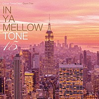 （Ｖ．Ａ．）「 ＩＮ　ＹＡ　ＭＥＬＬＯＷ　ＴＯＮＥ　１５」