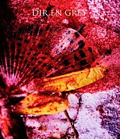 ＤＩＲ　ＥＮ　ＧＲＥＹ「 ＦＲＯＭ　ＤＥＰＲＥＳＳＩＯＮ　ＴＯ　＿＿＿＿＿＿＿＿　［ｍｏｄｅ　ｏｆ　１６－１７］」