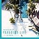 ＤＪ　ＫＥＮＴＡ マイダス・ハッチ ザック・ウォータース クール・カスタマー マイアミ・ホラー ノックス レノ クリス・マクレニー「ＰＡＲＡＤＩＳＥ　ＬＩＦＥ　ｍｉｘｅｄ　ｂｙ　ＤＪ　ＫＥＮＴＡ（ＺＺ　ＰＲＯＤＵＣＴＩＯＮ）」