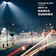 具島直子「ＵＲＢＡＮ　ＢＬＵＥＳ　ＰＲＥＳＥＮＴＳ　ＢＥＳＴ　ｏｆ　ＮＡＯＫＯ　ＧＵＳＨＩＭＡ」