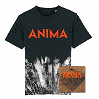 トム・ヨーク「 ＡＮＩＭＡ」