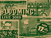 （Ｖ．Ａ．）「 Ａ３！　ＢＬＯＯＭＩＮＧ　ＬＩＶＥ　２０１９　ＩＮ　ＫＯＢＥ」