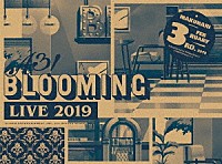 （Ｖ．Ａ．）「 Ａ３！　ＢＬＯＯＭＩＮＧ　ＬＩＶＥ　２０１９　ＩＮ　ＭＡＫＵＨＡＲＩ」