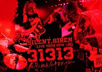 ＳＩＬＥＮＴ　ＳＩＲＥＮ「 ＳＩＬＥＮＴ　ＳＩＲＥＮ　ＬＩＶＥ　ＴＯＵＲ　２０１９『３１３１３』　～　サイサイ、結成１０年目だってよ　～　ｓｕｐｐｏｒｔｅｄ　ｂｙ　天下一品　＠　Ｚｅｐｐ　ＤｉｖｅｒＣｉｔｙ」