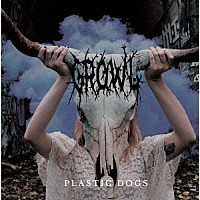 Ｐｌａｓｔｉｃ　Ｄｏｇｓ「 ＧＲＯＷＬ」