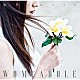 ＷＯＭＣＡＤＯＬＥ「黎明プルメリア」