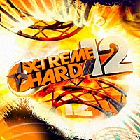 （Ｖ．Ａ．）「 Ｘ－ＴＲＥＭＥ　ＨＡＲＤ　ＣＯＭＰＩＬＡＴＩＯＮ　ＶＯＬ．１２」