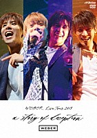 ＷＥＢＥＲ「 ＷＥＢＥＲ　ＬＩＶＥ　ＴＯＵＲ　２０１９　～ａ　ｓｔｏｒｙ　ｏｆ　ｄｅｃｅｐｔｉｏｎ～」