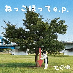 むぎ（猫）「ねっこほって　ｅ．ｐ．」