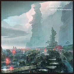 Ｆｕｇｅｎｎ　＆　Ｔｈｅ　Ｗｈｉｔｅ　Ｅｌｅｐｈａｎｔｓ「Ｌａｙｅｒ　Ｏｆ　Ｓｏｕｌ」