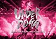 ＥＸＩＬＥ　ＳＨＯＫＩＣＨＩ「ＥＸＩＬＥ　ＳＨＯＫＩＣＨＩ　ＬＩＶＥ　ＴＯＵＲ　２０１９　ＵＮＤＥＲＤＯＧＧ」