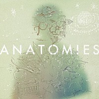 Ｈａｌｏ　ａｔ　四畳半「 ＡＮＡＴＯＭＩＥＳ」