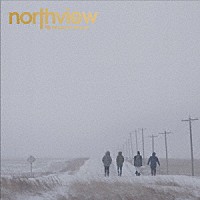 ＭＯＮＫＥＹ　ＭＡＪＩＫ「 ｎｏｒｔｈｖｉｅｗ」