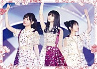 乃木坂４６「 乃木坂４６　７ｔｈ　ＹＥＡＲ　ＢＩＲＴＨＤＡＹ　ＬＩＶＥ　２０１９．２．２１－２４　ＫＹＯＣＥＲＡ　ＤＯＭＥ　ＯＳＡＫＡ　Ｄａｙ３」