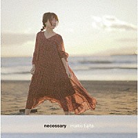 藤田麻衣子「 ｎｅｃｅｓｓａｒｙ」