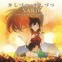 ＳＡＲＤ　ＵＮＤＥＲＧＲＯＵＮＤ「 少しづつ　少しづつ」