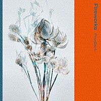 ＦｌｏｗＢａｃｋ「 Ｆｉｒｅｗｏｒｋｓ」