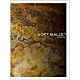 ＳＯＦＴ　ＢＡＬＬＥＴ「ｒｅｌｉｃｓ」