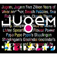 嘘とカメレオン「 ＪＵＧＥＭ」