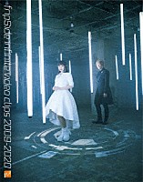 ｆｒｉｐＳｉｄｅ「 ｆｒｉｐＳｉｄｅ　ｉｎｆｉｎｉｔｅ　ｖｉｄｅｏ　ｃｌｉｐｓ　２００９－２０２０」