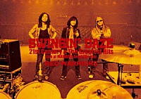 ＲＥＤ　ＷＡＲＲＩＯＲＳ「 ＳＷＩＮＧＩＮ’　ＤＡＺＥ　２１ｓｔ　Ｃｅｎｔｕｒｙ　＆　Ｔｈｅ　Ｇｒｅａｔｅｓｔ　Ｈｉｔｓ　－Ｌｉｖｅ　ａｔ　ＭＡＩＨＡＭＡ　Ａｍｐｈｉｔｈｅａｔｅｒ－」